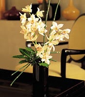  Kayseri iek online iek siparii  cam yada mika vazo ierisinde dal orkide