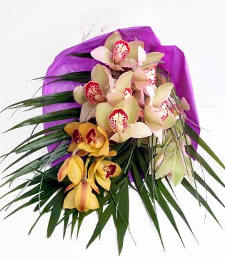  Kayseri yurtii ve yurtd iek siparii  1 adet dal orkide buket halinde sunulmakta