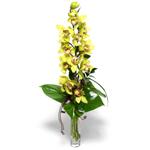  Kayseri iek siparii sitesi  cam vazo ierisinde tek dal canli orkide