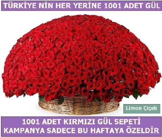 1001 Adet krmz gl Bu haftaya zel  Kayseri iek siparii sitesi 